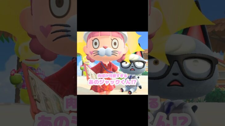 ついにリゾートへ来たイケメン代表のジャックくん…？！？！#あつ森 #どうぶつの森 #あつまれどうぶつの森 #どう森 #shortvideo #shorts #short #ジャックくん#ハピパラ