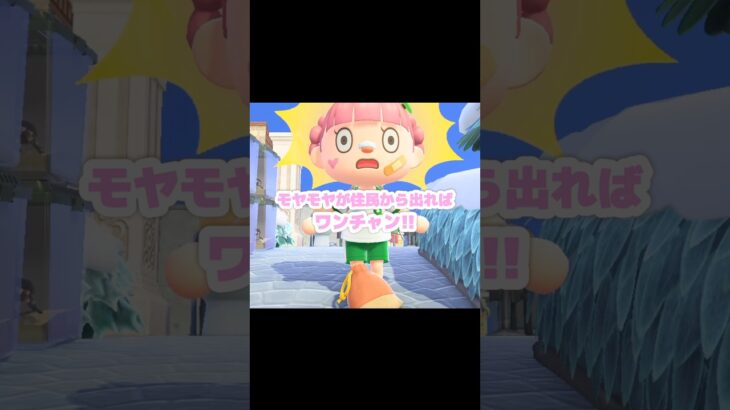 運動のしすぎで落とし物をする､ちゃちゃまる…？！？！#あつ森 #どうぶつの森 #あつまれどうぶつの森 #どう森 #shortvideo #shorts #short #おとしもの#ちゃちゃまる