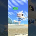 急にスンっ🎤　 #あつ森 #任天堂 #あつまれどうぶつの森 #switch #animalcrossingnewhorizons 　シベリア💗　キャロライン💗