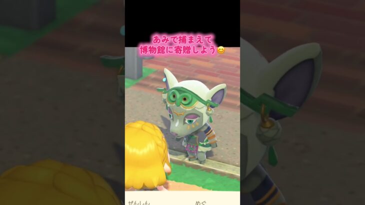 #あつまれどうぶつの森 #あつ森#小ネタ#ゲーム #ゲーム配信 #switch #switch2 #チャンネル登録と高評価お願いします