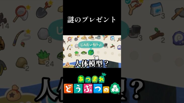 もっとこう季節のアイテムとか出ると思うやん？ #あつ森 #あつまれどうぶつの森 #switch2