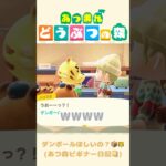 【あつ森】ハリマオのお家がだんだん変になってく……….📦#あつまれどうぶつの森