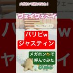 メガホンでウェイウェイ[あつ森]