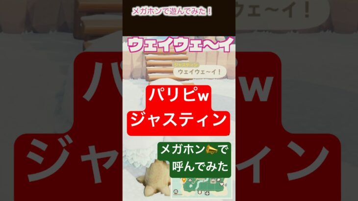 メガホンでウェイウェイ[あつ森]