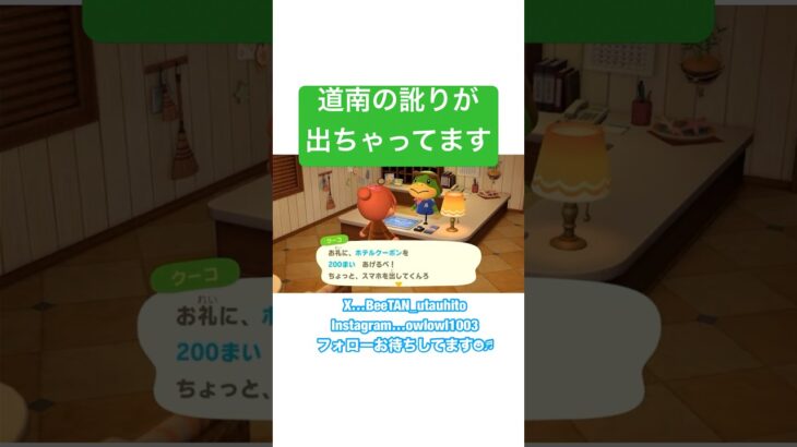 【 あつ森 】隔てるものは津軽海峡のみ