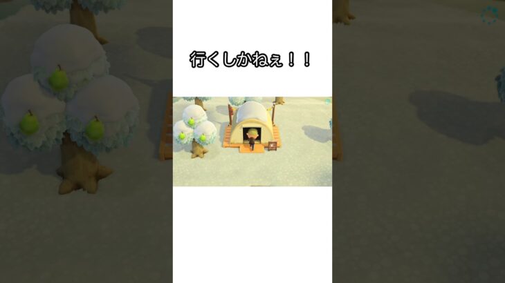 【あつ森】キャンプサイトにお客様が来たーーー