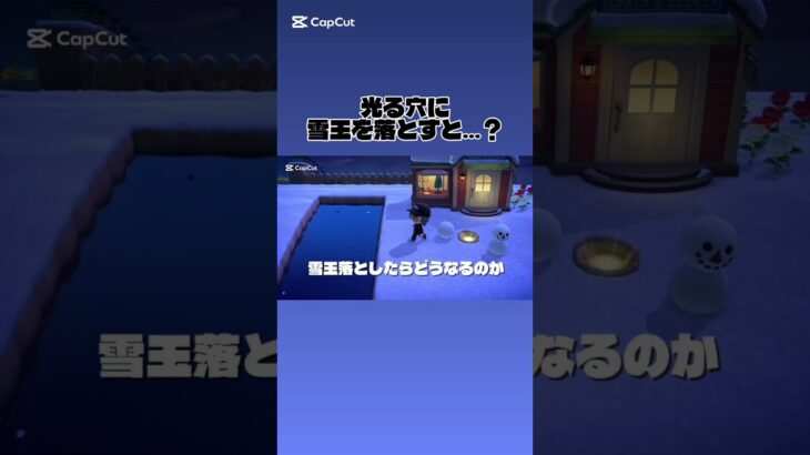 あつまれどうぶつの森 すごい雑学 #あつ森