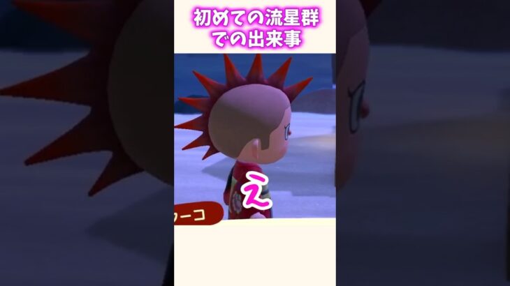 【あつ森】フーコと初めて出逢ったときの勘違い