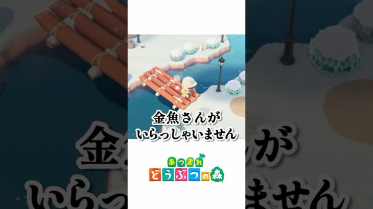 唐突な金魚チャレンジ、まさかの結果に！？【あつ森】