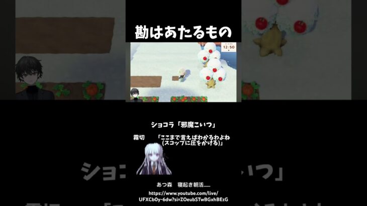 あつ森　あるある　アイテムがぶっ壊れる　#あつまれどうぶつの森 #あつ森 #ゲーム実況 #ニンテンドー #ゲーム