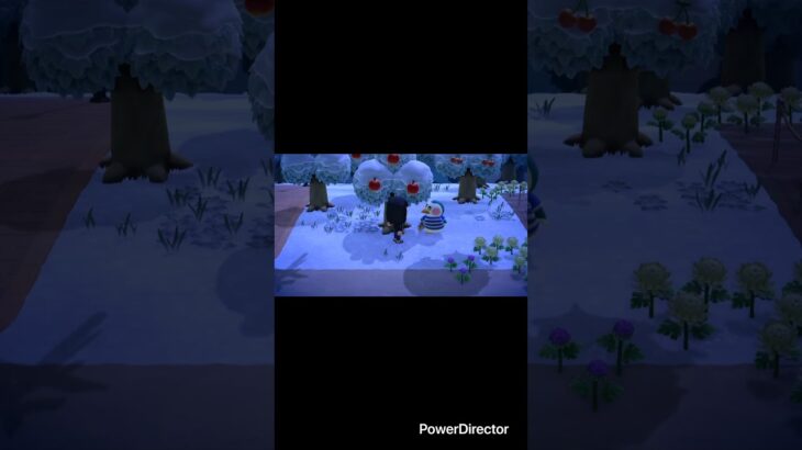 【犠牲になったのりまき】 #あつ森 #あつまれどうぶつの森