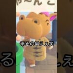 【あつ森】ストレス溜まった時の対処法を教えてもらった