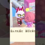 #あつ森  オリビア〜　久しぶり