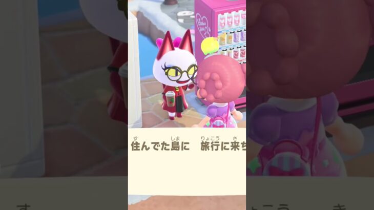 #あつ森  オリビア〜　久しぶり