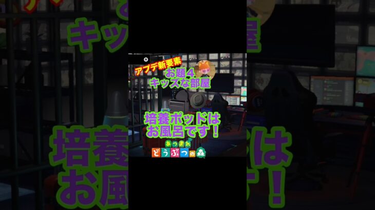 令和のキッズならこうじゃない？#あつ森 #あつまれどうぶつの森 #新要素#ホテル#キッズ