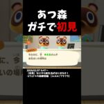 【切り抜き】ガチであつ森初見のユエル【ブラフラ】