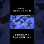 #あつ森初心者 #あつ森 #レベルアップ #あつまれどうぶつの森 #とびだせどうぶつの森 #あつ森ライフ #ゲーム #のんびり