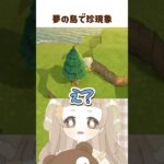 あつ森アプデ｜夢の島に８人集まった結果こうなった 🐻
