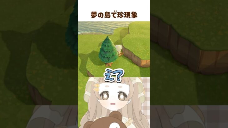 あつ森アプデ｜夢の島に８人集まった結果こうなった 🐻