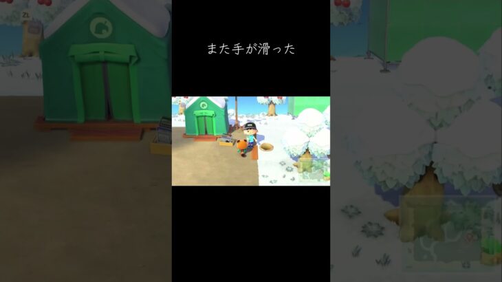 【あつ森】また手が滑った#あつまれどうぶつの森 #ゲーム実況 #天猫丸 #任天堂 #配信