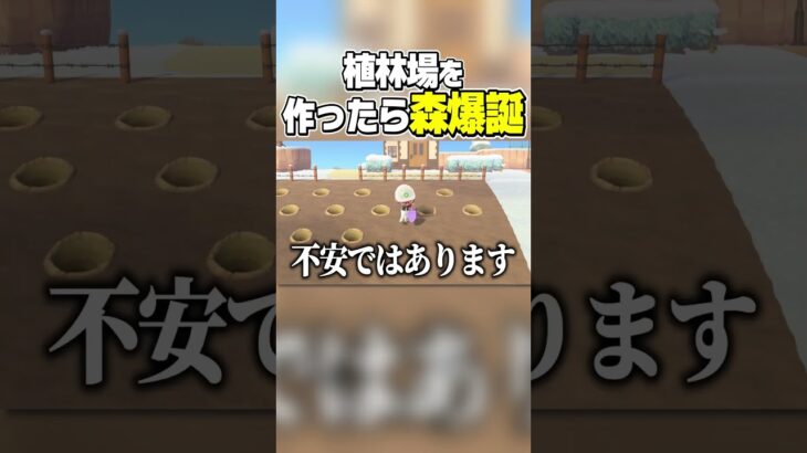 【あつ森】植林場を作ったら森爆誕【あつまれどうぶつの森】#あつ森 #あつまれどうぶつの森