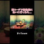 たまたまリンクコーデになる気まずいやつ^^ 【あつ森】 #あつ森 #あつまれどうぶつの森 #ゲーム実況 #配信切り抜き動画