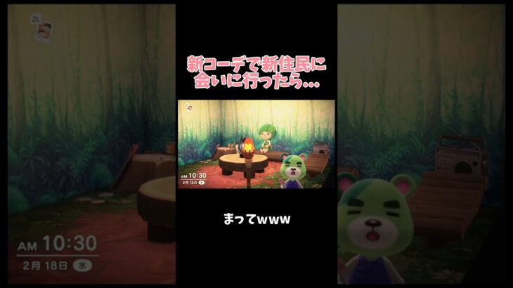 たまたまリンクコーデになる気まずいやつ^^ 【あつ森】 #あつ森 #あつまれどうぶつの森 #ゲーム実況 #配信切り抜き動画