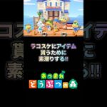 【あつ森】ホタテを求めて‼︎#あつ森 #ラコスケ