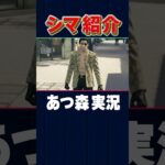 シマ紹介ツアー！【あつ森_ネタバレ注意】