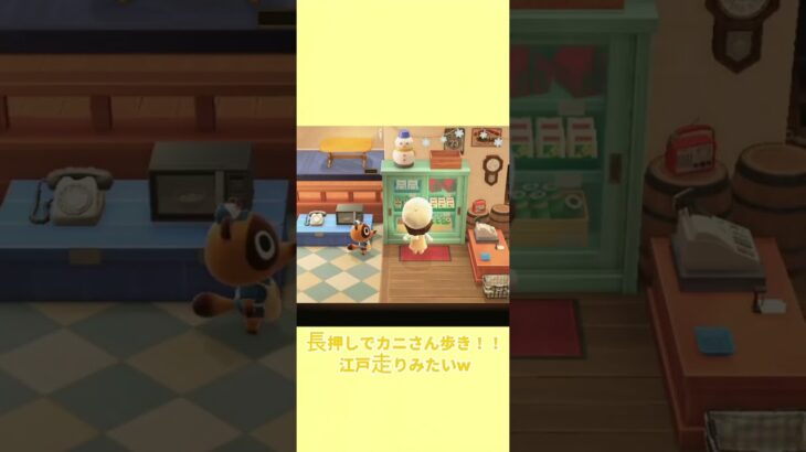 待ちに待った‼️あつ森アプデ💡〜大興奮の巻〜