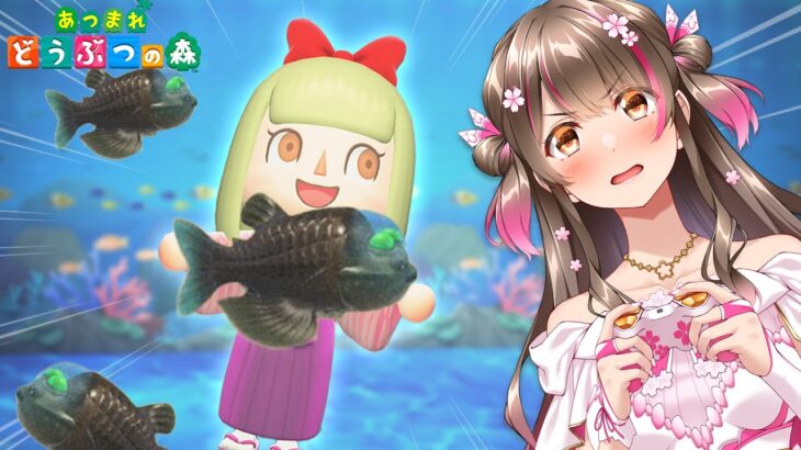 【あつ森】かなり難関?!「デメニギス」をアジだらけの海で３匹釣るのに撒き餌はいくつ必要か？【あつまれどうぶつの森】