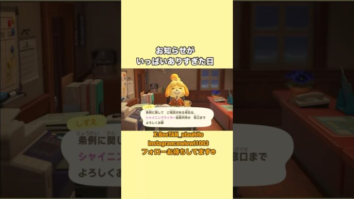 【 あつ森 】沢山お知らせ嬉しいな