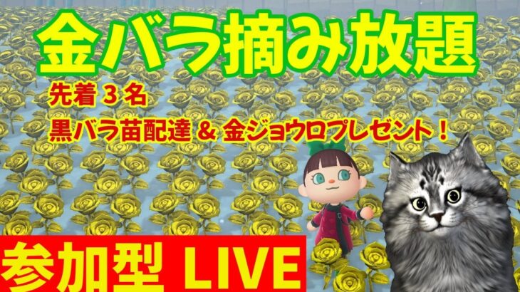 【あつ森参加型】金バラ摘み放題！先着プレゼントも・・？