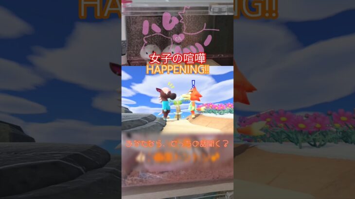 【あつ森】怒り新党どちらをなだめるかめちゃ悩む展開💦【ハムハリー/#ハムハリー #ゲーム #あつ森 】