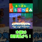 【初見あつ森】たぬきち不法侵入の疑い【あつまれどうぶつの森】