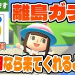 【あつ森】離島ガチャ！パッチの誕生日に会いに行くぞ！！！【あつまれどうぶつの森 生配信】