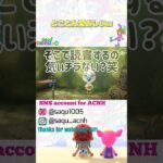 【とことん愛おしい】#あつ森好きな人と繋がりたい #ゼルダの伝説