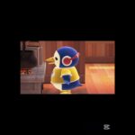 のぶお彡のけけアイドルです🎤🔵　#あつ森