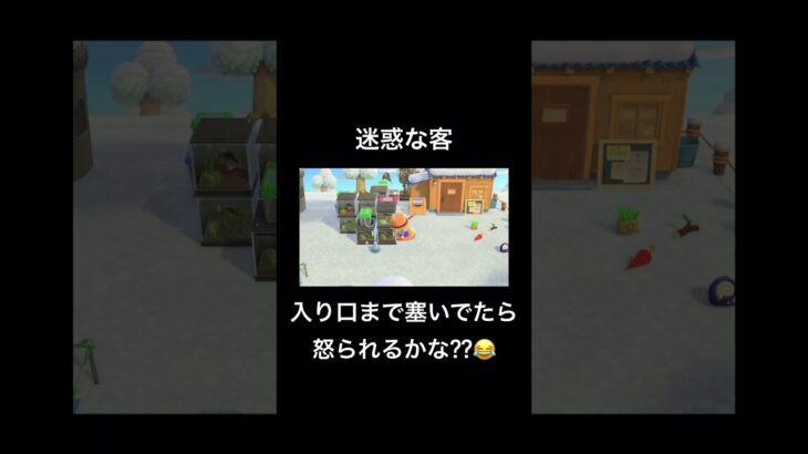 朝活の良くない例 #あつまれどうぶつの森 #あつ森 #どうぶつの森