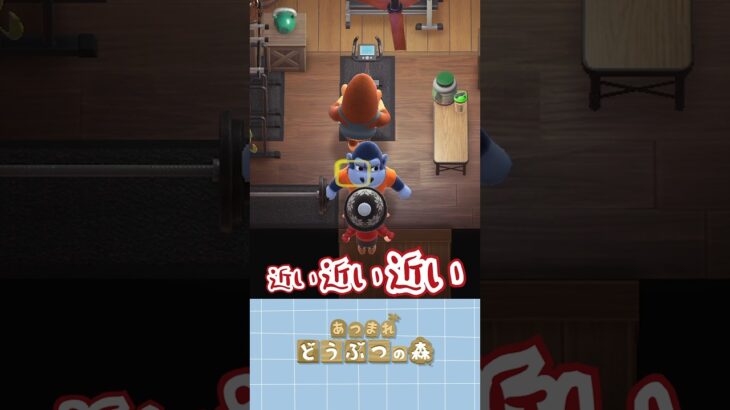 【#あつ森 】とある事で推しに対して様子がおかしくなるゲーム配信者🙃🙃#あつまれどうぶつの森 #どうぶつの森