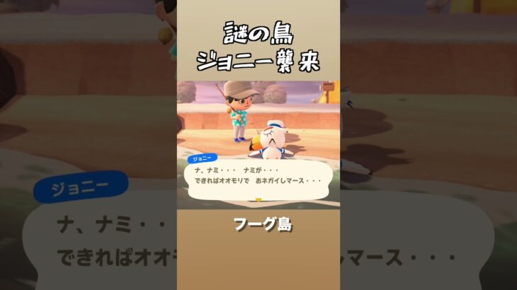 誰！？　#あつ森 　#あつまれどうぶつの森