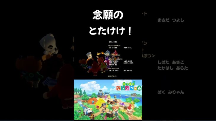 ワオーンで笑った #あつまれどうぶつの森 #あつ森 #とたけけ