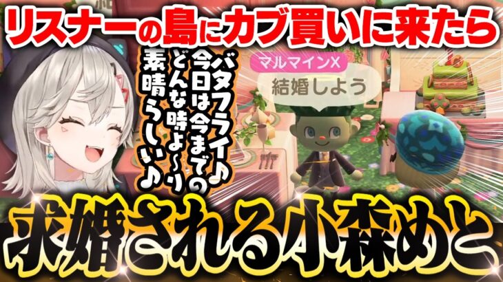 【あつ森】リスナーの島にカブを買いに来たらプロポーズされる小森めと