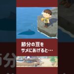 【あつ森】節分の豆をサメにあげると……【小ネタ】【あつまれ どうぶつの森】#あつ森 #あつまれどうぶつの森