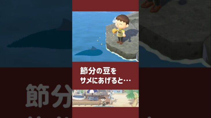 【あつ森】節分の豆をサメにあげると……【小ネタ】【あつまれ どうぶつの森】#あつ森 #あつまれどうぶつの森