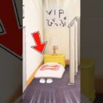 マジで寝るだけのホテルの部屋 #あつ森 #あつ森アプデ