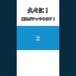 【あつ森】久々に離島ガチャしたら予想外の結果が待ち受けていた
