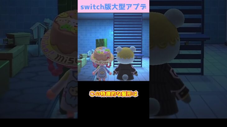 【あつ森】≪ホテル≫　広いお部屋はたのしい　　　　　　　　　　　 #あつまれどうぶつの森