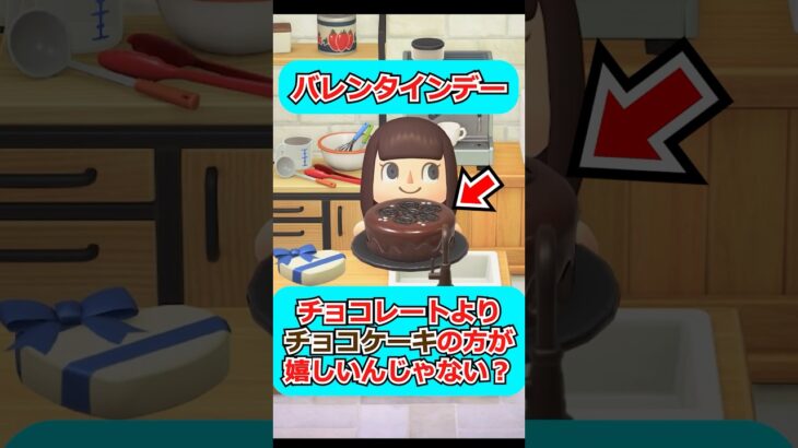 【あつ森】バレンタインのチョコ、チョコケーキの方が喜ばれるんじゃない？