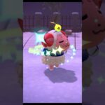 【あつ森】何でも似合うちゃちゃまるが可愛い  #あつまれどうぶつの森  #あつ森ちゃちゃまる  #ゼルダコラボ